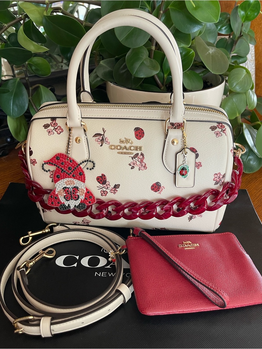 COACH Rowan Ladybug Satchel Bag with Matching Wristlet
